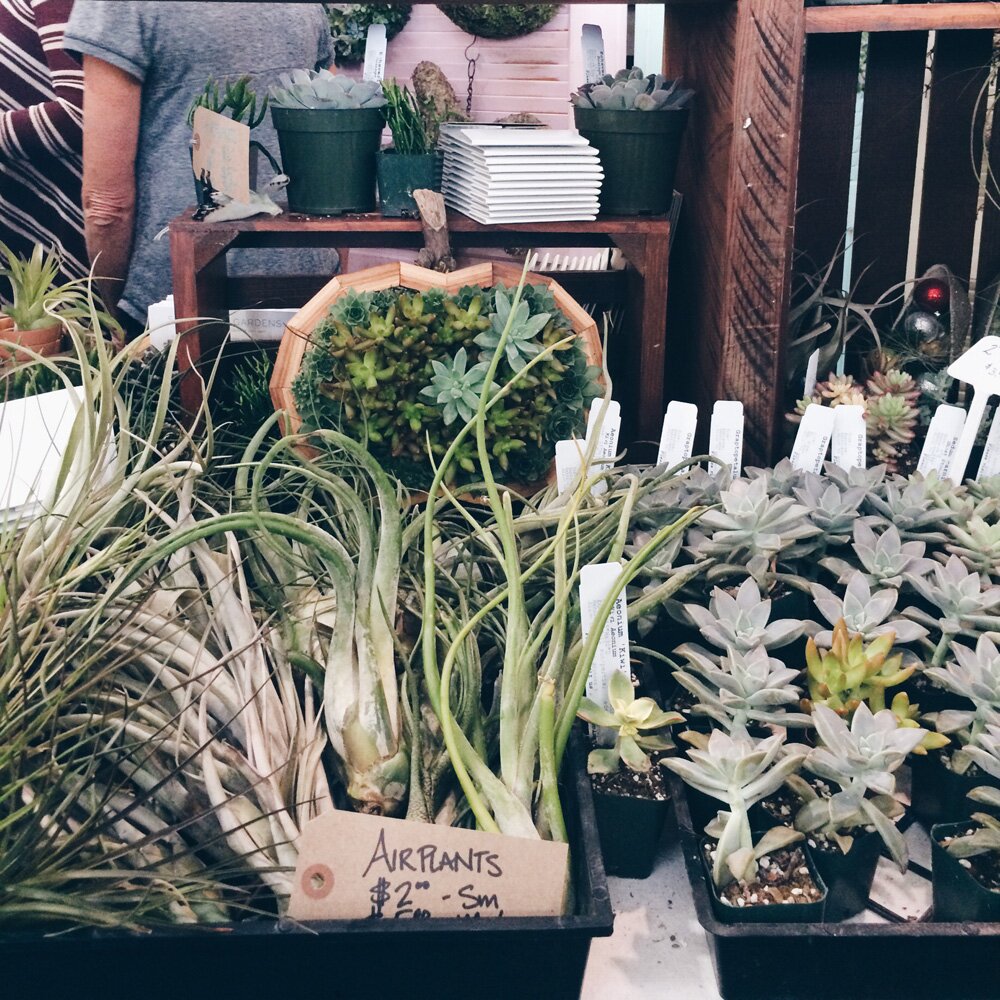 2015 SF Renegade Craft Fair | Owl Ink