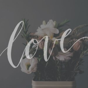 Owl Ink | Graphic Design